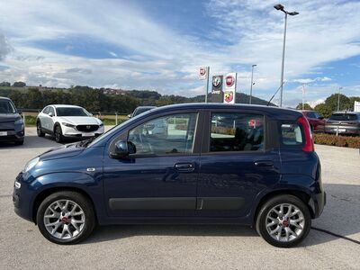 Fiat Panda Gebrauchtwagen Fiat Panda Gebrauchtwagen