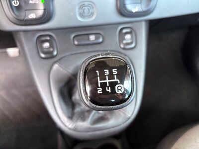 Fiat Panda Gebrauchtwagen Fiat Panda Gebrauchtwagen