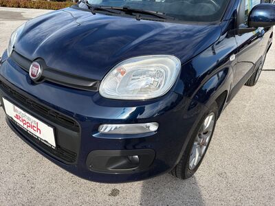 Fiat Panda Gebrauchtwagen Fiat Panda Gebrauchtwagen