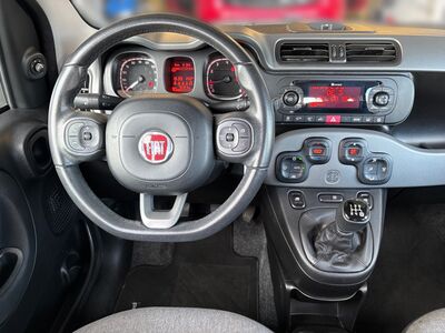 Fiat Panda Gebrauchtwagen Fiat Panda Gebrauchtwagen