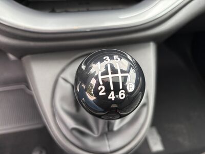 Fiat 500 Neuwagen Fiat 500 Neuwagen