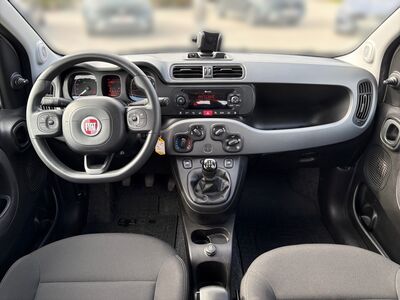 Fiat Panda Gebrauchtwagen Fiat Panda Gebrauchtwagen