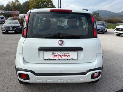 Fiat Panda Gebrauchtwagen Fiat Panda Gebrauchtwagen