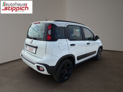 Fiat Panda Gebrauchtwagen Fiat Panda Gebrauchtwagen
