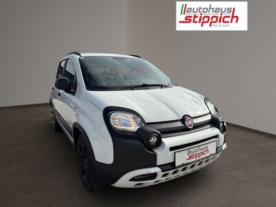Fiat Panda Gebrauchtwagen Fiat Panda Gebrauchtwagen