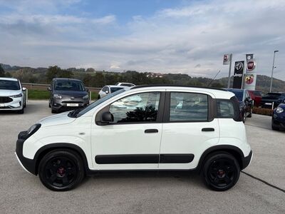 Fiat Panda Gebrauchtwagen Fiat Panda Gebrauchtwagen