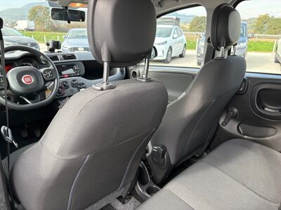 Fiat Panda Gebrauchtwagen Fiat Panda Gebrauchtwagen