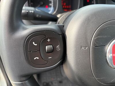 Fiat Panda Gebrauchtwagen Fiat Panda Gebrauchtwagen