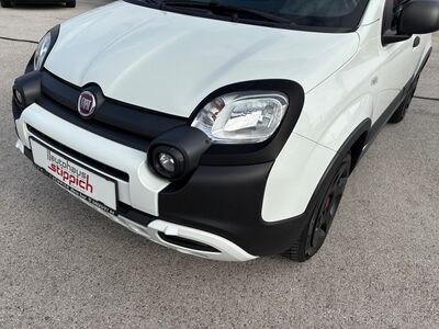 Fiat Panda Gebrauchtwagen Fiat Panda Gebrauchtwagen