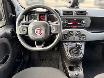 Fiat Panda Gebrauchtwagen Fiat Panda Gebrauchtwagen