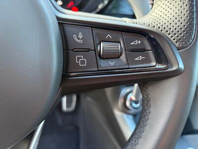 Alfa Romeo Tonale Gebrauchtwagen Alfa Romeo Tonale Gebrauchtwagen