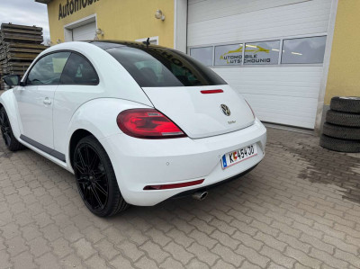 VW Beetle Gebrauchtwagen