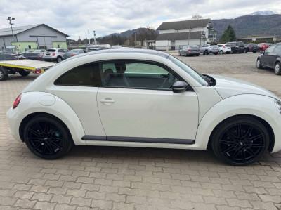 VW Beetle Gebrauchtwagen