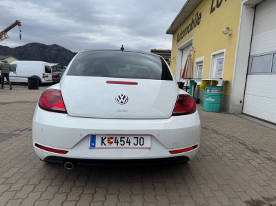 VW Beetle Gebrauchtwagen