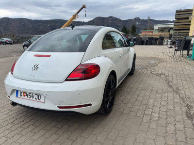 VW Beetle Gebrauchtwagen