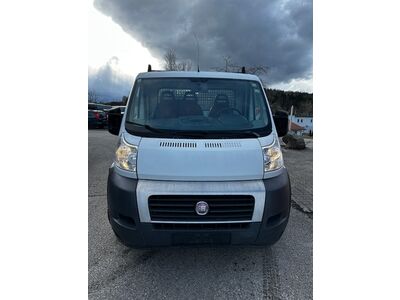 Fiat Ducato Gebrauchtwagen