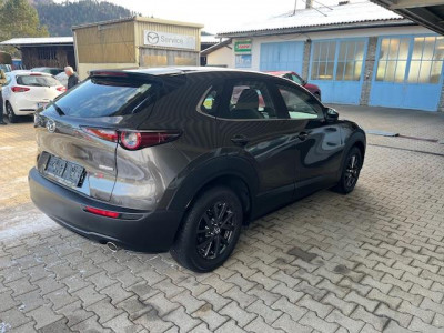 Mazda CX-30 Gebrauchtwagen