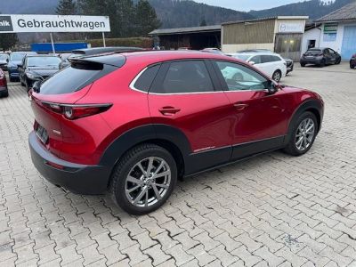 Mazda CX-30 Gebrauchtwagen