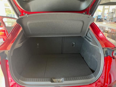 Mazda CX-30 Tageszulassung Mazda CX-30 Tageszulassung