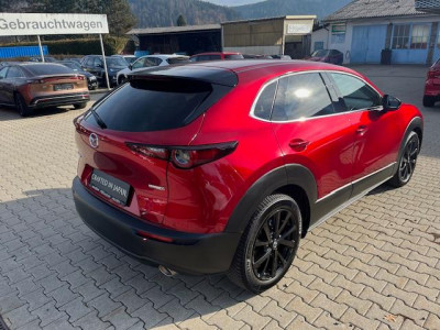 Mazda CX-30 Gebrauchtwagen