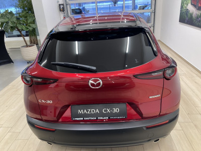 Mazda CX-30 Gebrauchtwagen