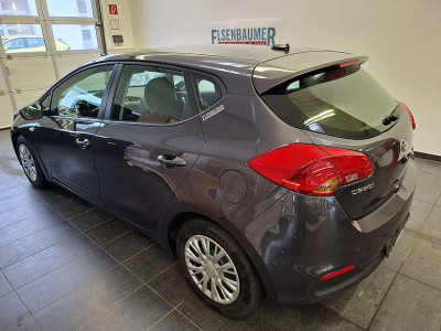 KIA Ceed Gebrauchtwagen