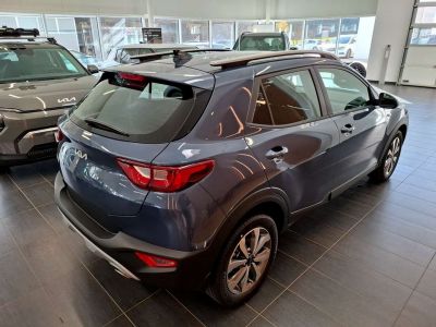 KIA Stonic Neuwagen