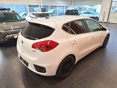 KIA Ceed Gebrauchtwagen