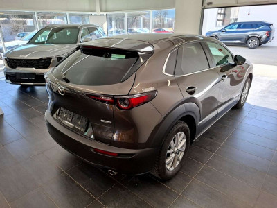 Mazda CX-30 Gebrauchtwagen