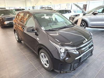 KIA Picanto Neuwagen