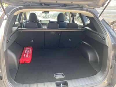 Hyundai Tucson Tageszulassung