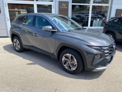 Hyundai Tucson Tageszulassung