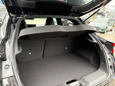 Nissan Juke Tageszulassung