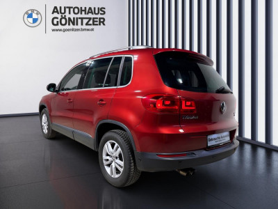 VW Tiguan Gebrauchtwagen