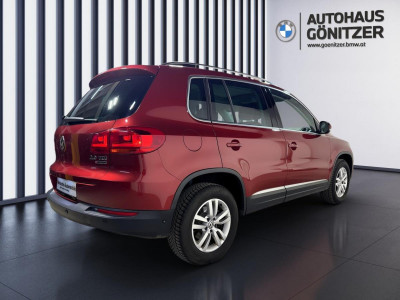 VW Tiguan Gebrauchtwagen