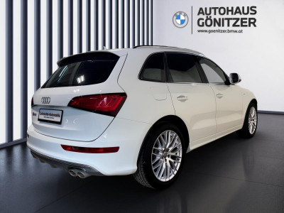 Audi Q5 Gebrauchtwagen Audi Q5 Gebrauchtwagen