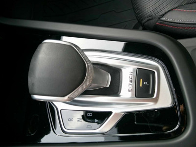 Renault Arkana Gebrauchtwagen