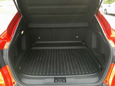 Renault Arkana Gebrauchtwagen