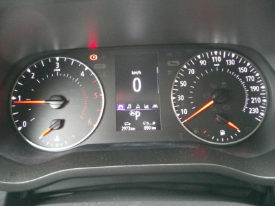 Renault Trafic Vorführwagen