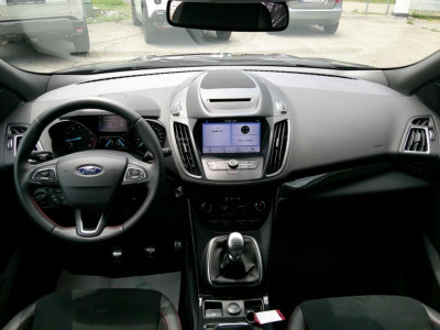 Ford Kuga Gebrauchtwagen Ford Kuga Gebrauchtwagen