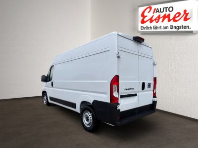 Fiat Ducato Gebrauchtwagen