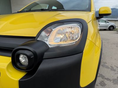 Fiat Panda Gebrauchtwagen