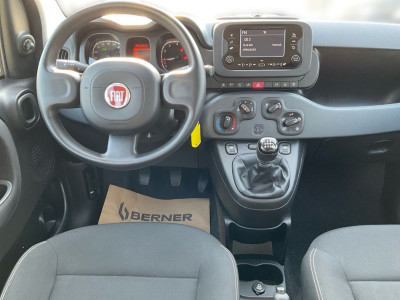 Fiat Panda Gebrauchtwagen