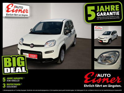 Fiat Panda Gebrauchtwagen