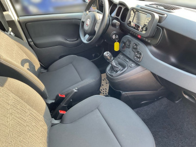 Fiat Panda Gebrauchtwagen