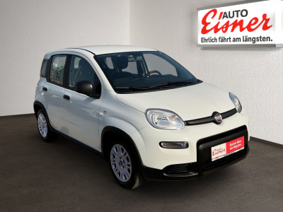 Fiat Panda Gebrauchtwagen