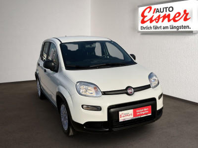 Fiat Panda Gebrauchtwagen