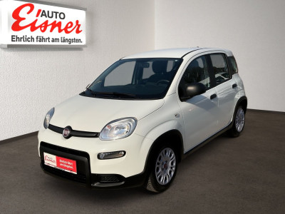 Fiat Panda Gebrauchtwagen