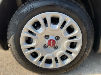 Fiat Panda Gebrauchtwagen