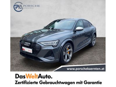 Audi Q8 e-tron Gebrauchtwagen